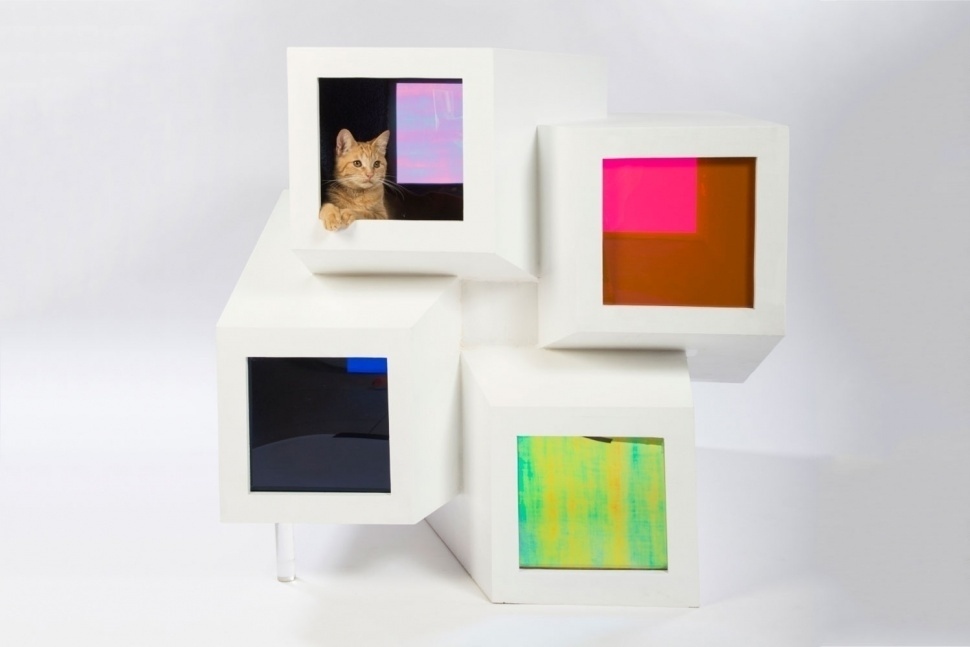 Meghan bob Photography/ Divulgação