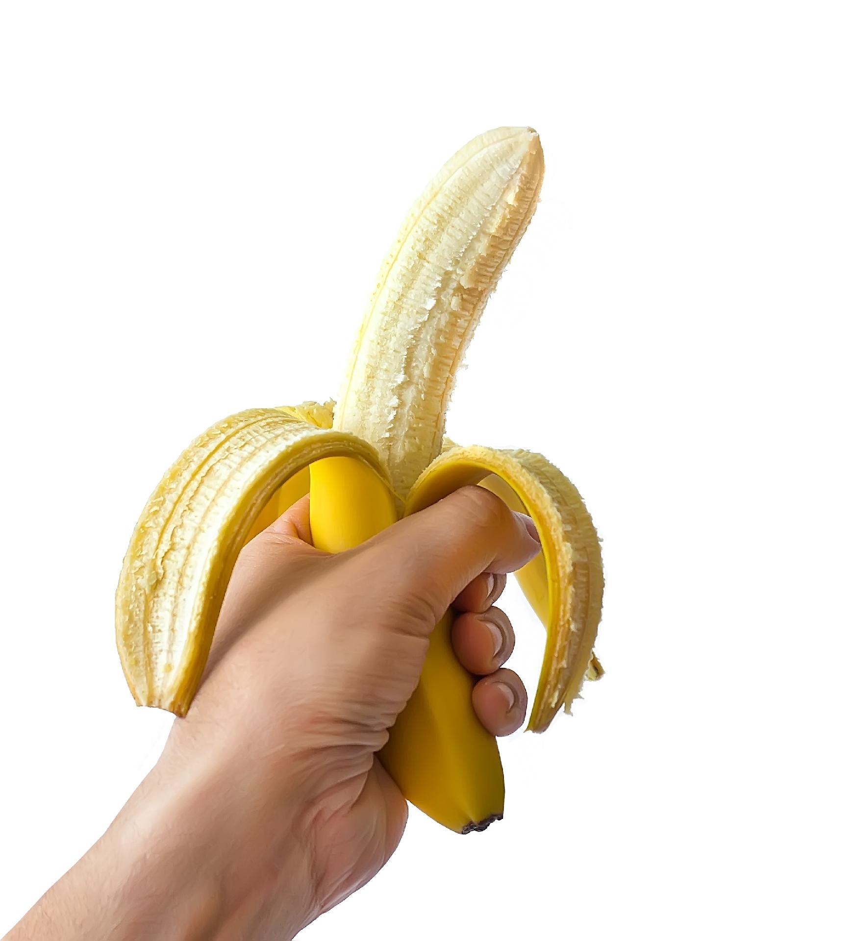 prostata e vas