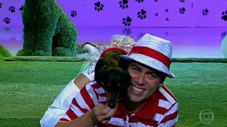 Cachorra