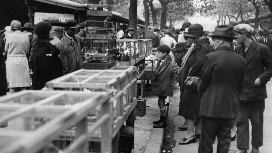 Mercado de Pássaros na década de 1930, em Paris - Imagno/Getty Images