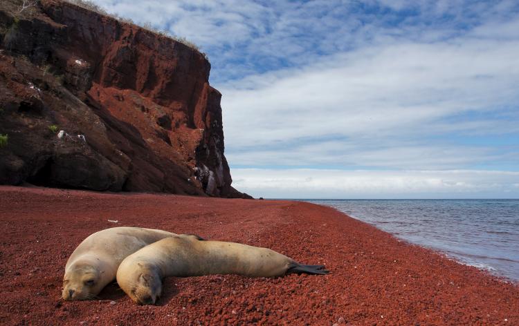 Playa Roja, Isla Rábida, em Galápagos