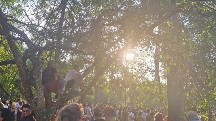 O publico usou as árvores da USP como camarote para ver melhor o show gratuito de Marisa Monte, neste sábado (22), em São Paulo