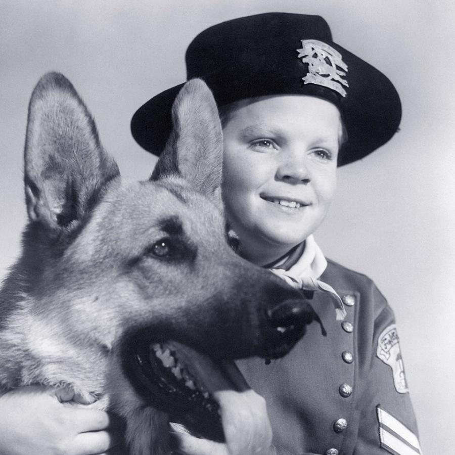 Lee Aaker em pôster da série "As Aventuras de Rin Tin Tin", exibida originalmente na década de 1950 - Reprodução