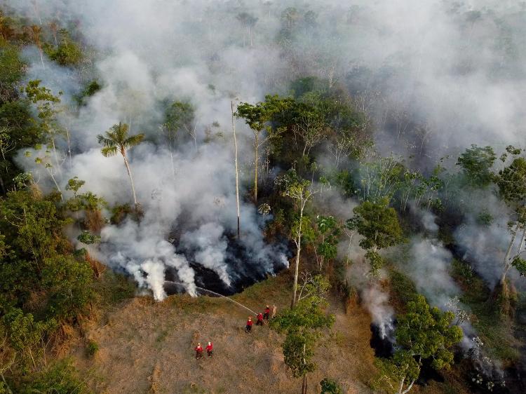 Bombeiros tentam apagar um incêndio ilegal em uma área florestal no distrito de Cacau Pirera, em Iranduba, no Amazonas. (25 de setembro de 2023). O governo do Amazonas declarou Estado de Emergência Ambiental em 12 de setembro devido ao alto número de incêndios e à forte seca nos rios, afetando a navegação e a distribuição de alimentos para o interior do estado. 