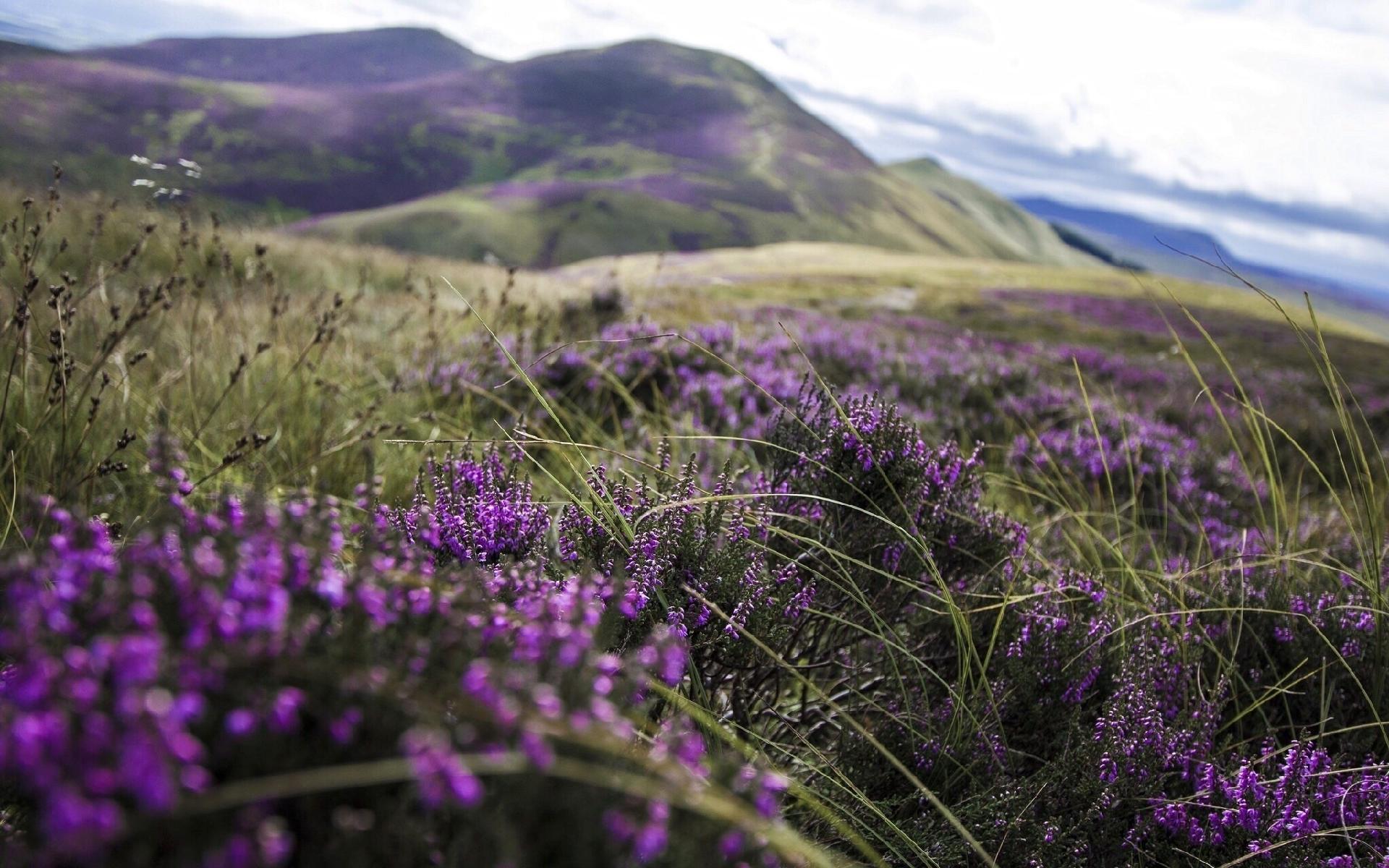 Destinos ultravioleta - Edimburgo, Escócia - Divulgação/Skyscanner