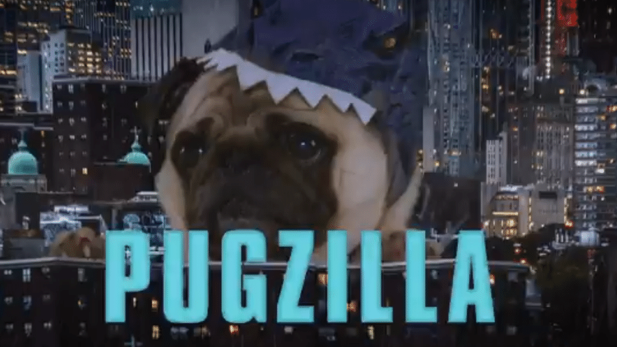 O fofíssimo Pugzilla, da paródia de "Godzilla 2: Rei dos Monstros" - Reprodução/Twitter