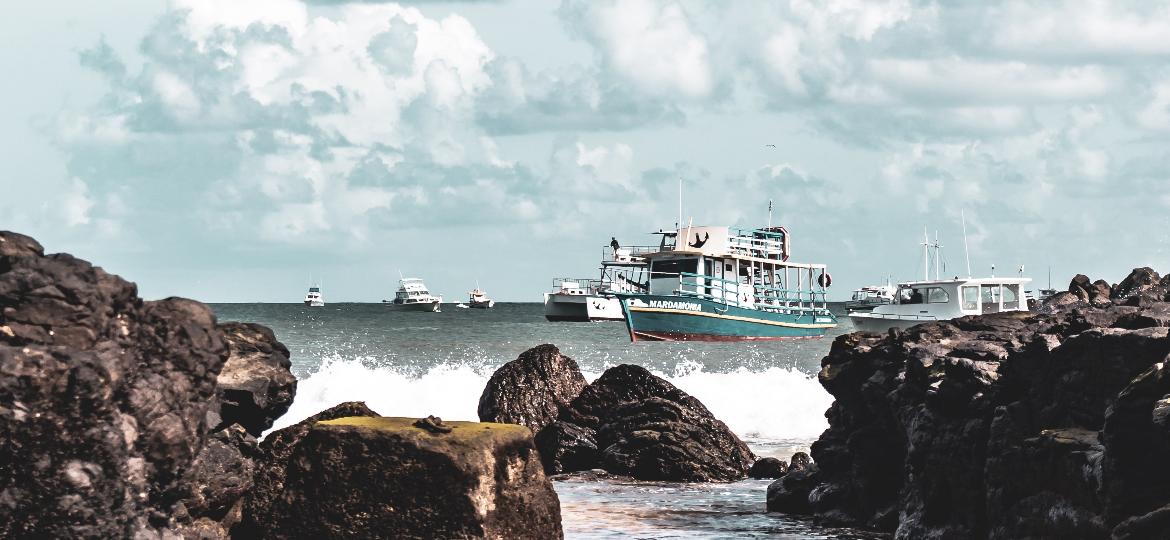 Barcos de turismo agora fazem pesca, com distribuição de parte da produção a moradores - Alex Braga/Unsplash