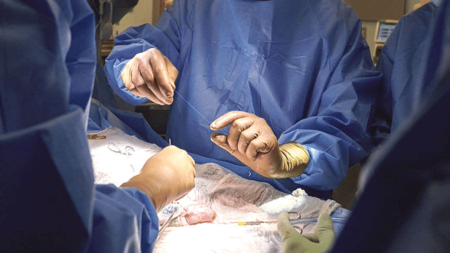Cirurgia demorou algumas horas - NYU Langone