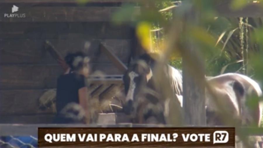 Questionário do Dia da Terra revela seu lado animal