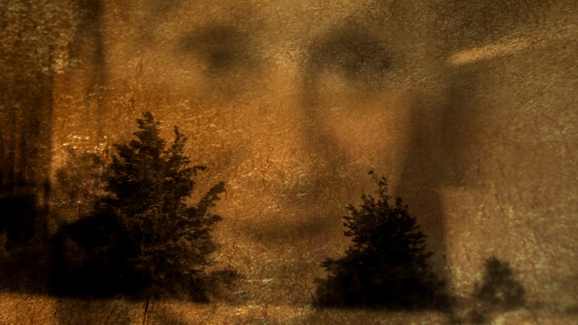 Cena de "Coração de Cachorro" - Divulgação