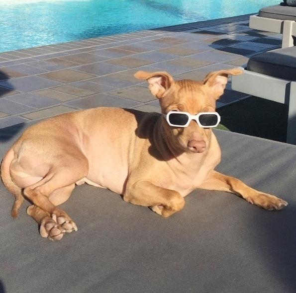 Reprodução/Instagram.com/tunameltsmyheart