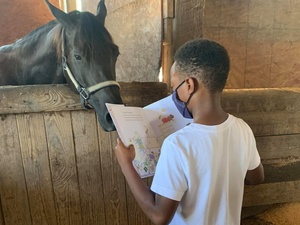 jornal O Indaialense / Cotidiano / Equitação: arte de montar e cuidar de  cavalos com muito amor