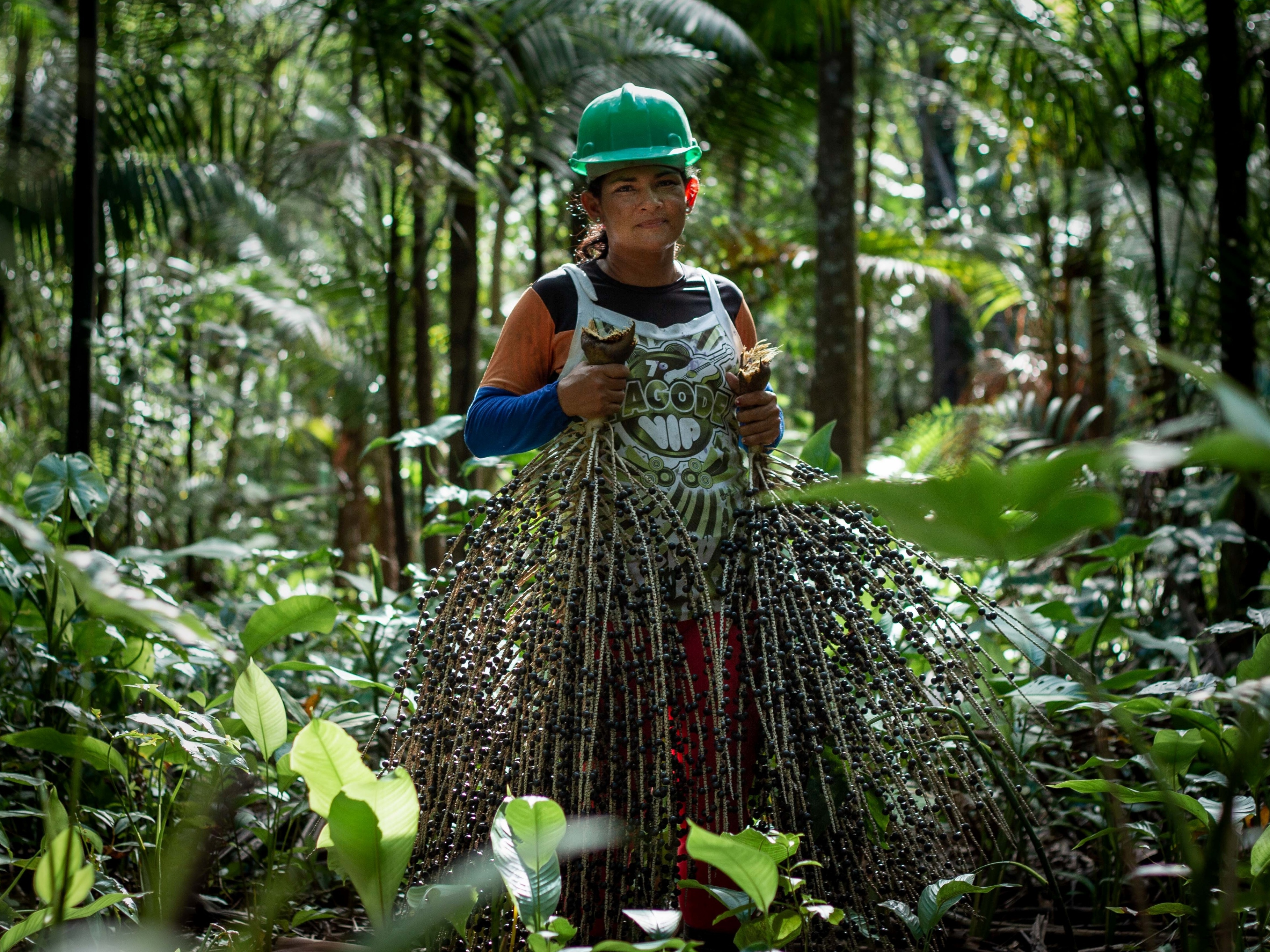 Com extrativismo sustentável, povos da floresta resistem ao desmatamento