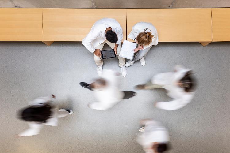 Educação em dor nas faculdades não responde às necessidades da sociedade, dizem professores Educação em dor nas faculdades não responde às necessidades da sociedade, dizem professores