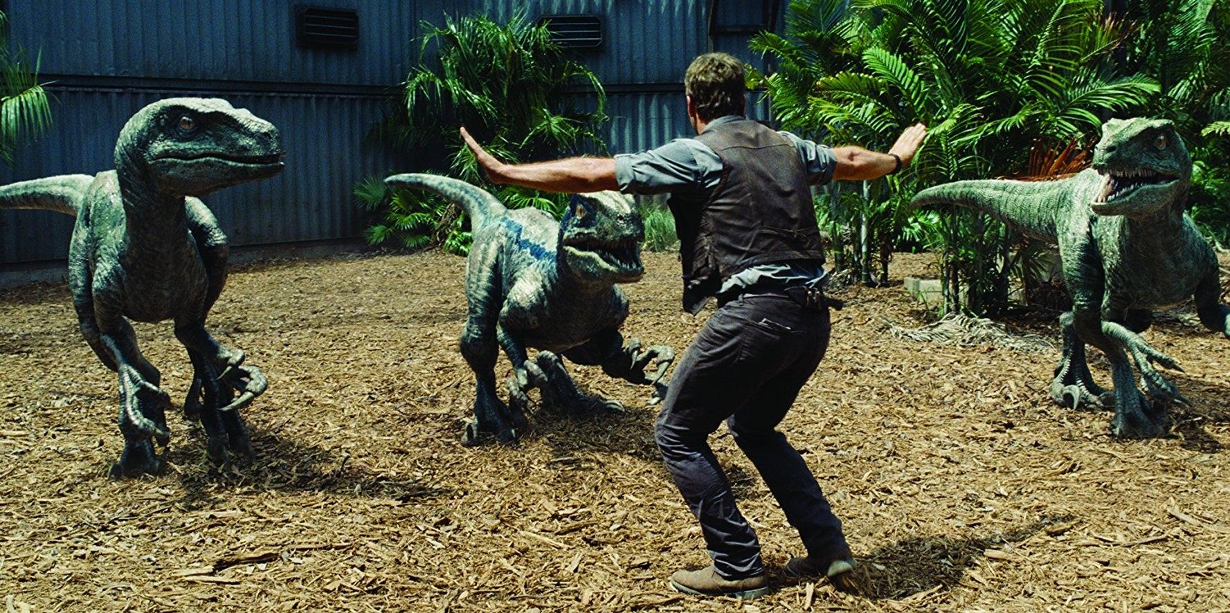 Chris Pratt tenta controlar os velociraptors em cena de Jurassic World - Divulgação