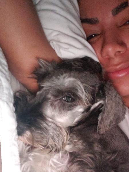 Anitta postou várias fotos de Afonso e fez uma montagem despedida do seu animal de estimação - Reprodução/Instagram/@anitta