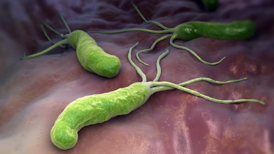 Helicobactéria, H. pylori: saiba o que é, sintomas e tratamento - iStock