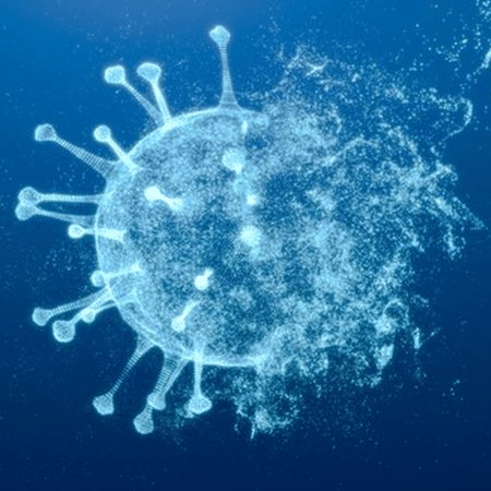 Ômicron, nova variante do coronavírus, foi detectada em onze países e Hong Kong, atingindo quatro continentes - iStock