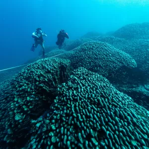  INIGO SAN FELIX / NATIONAL GEOGRAPHIC PRISTINE SEAS / AFP