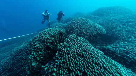  INIGO SAN FELIX / NATIONAL GEOGRAPHIC PRISTINE SEAS / AFP