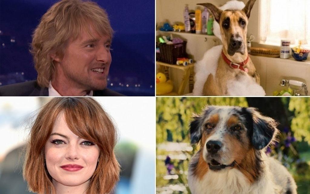 Owen Wilson e Emma Stone participaram das dublagens de "Marmaduke: Ele Chegou Tirando Onda" (2010) - Reprodução