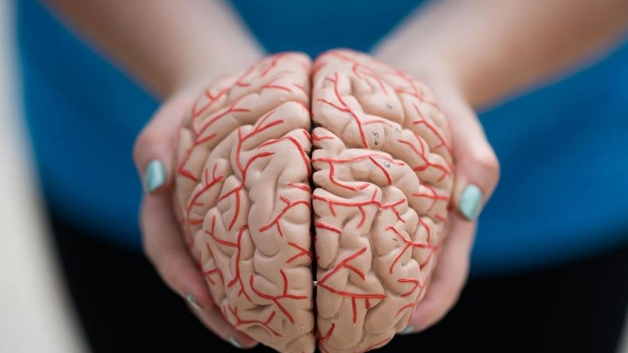 O cérebro deve ser entendido como um músculo, que vai enferrujando e perdendo sua funcionalidade, caso não seja exercitado - Matthew Horwood/Colaborador Getty Images