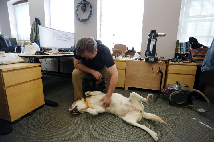 Dave McMullen and his Daisy, who gets a cuddle while working at Tungsten, also in Ottawa - Dave Chan/AFP - Dave Chan/AFP