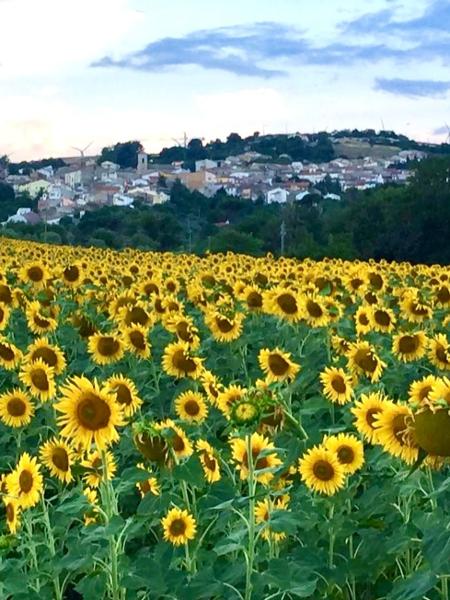 Sant'Elia a Pianisi, em Molise, na Itália - Reprodução/Facebook - Reprodução/Facebook