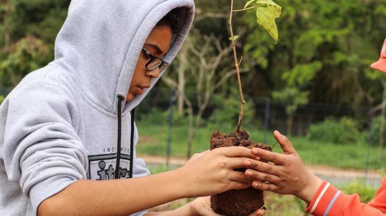 Comunidade escolar planta espécies da Mata Atlântica junto com a ONG formigas-de-embaúba, reflorestando escolas públicas de São Paulo.  - Formigas-de-embaúba/Zalika Produções - Formigas-de-embaúba/Zalika Produções