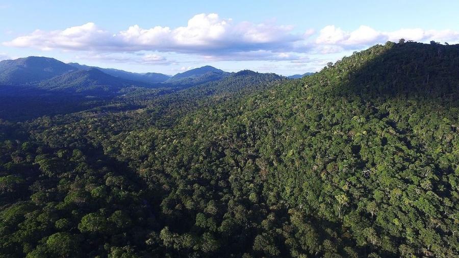 Área preservada de Mata Atlântica no município de Camacã, sul da Bahia