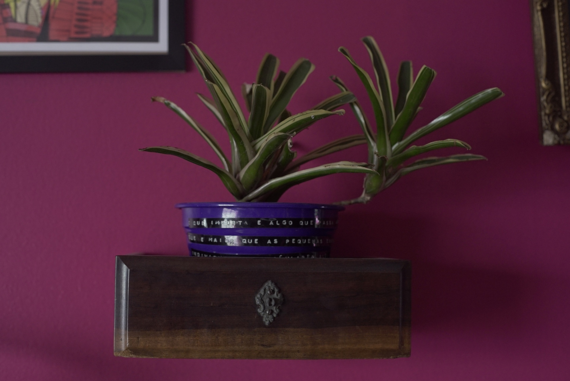 Foto de arquivo pessoal. Usar apenas no respectivo material. Um exemplo desses seus resgates são as gavetas antigas transformadas em prateleiras - Divulgação/ Arquivo pessoal