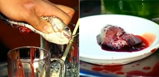 O apresentador já provou coração e sangue de cobra  - Reprodução/Youtube - Reprodução/Youtube