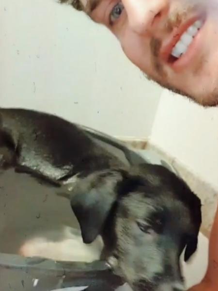 Klebber Toledo deu banho nas cadelas, durante a quarentena - Reprodução/Instagram