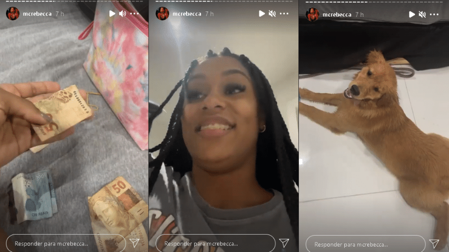 MC Rebecca teve seu dinheiro destruído pela cachorra Kiki - Instagram/@mcrebecca