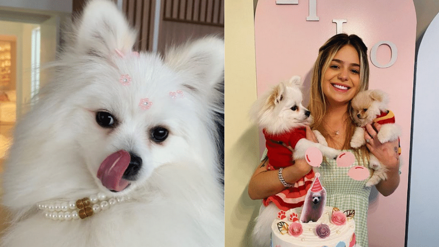 BBB 21: Viih Tube diz ser "viciada" em presentear seus cachorros - Reprodução/Instagram