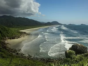 Maré de mudança: veja casos inspiradores de conservação do oceano