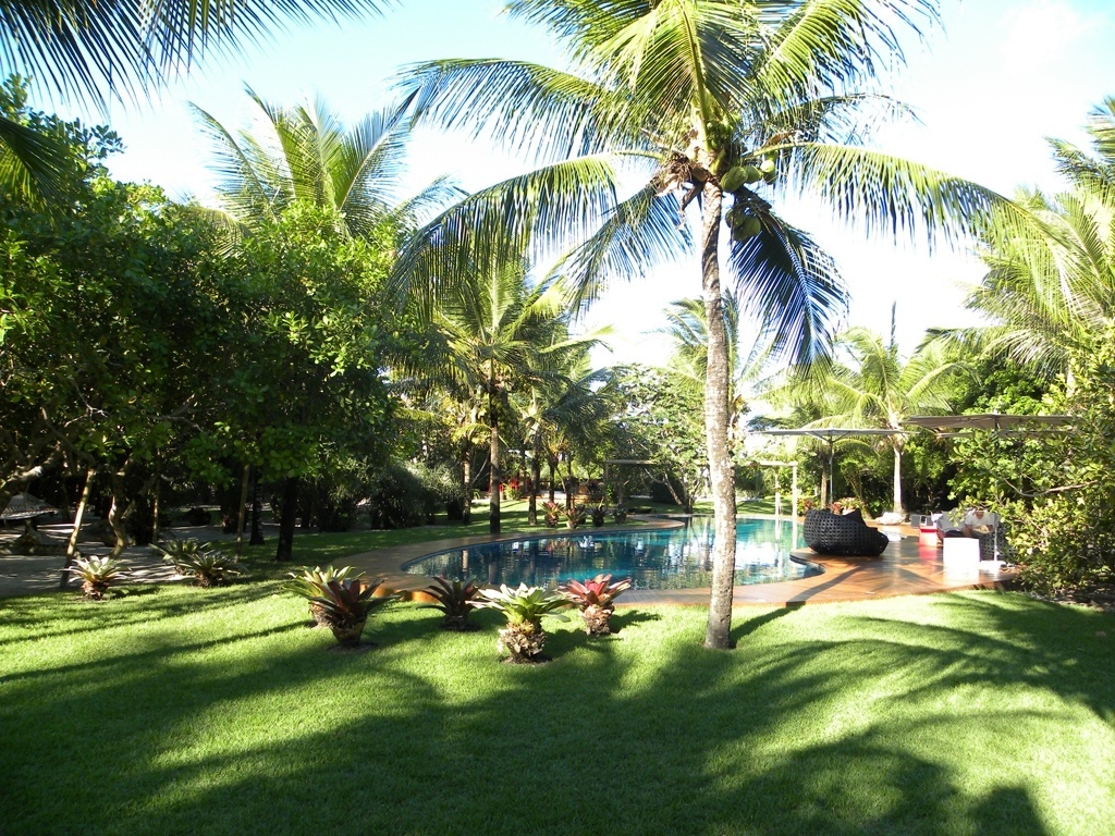 Junto ao deck da piscina com formato orgânico, o paisagista Marcelo Faisal dispôs coqueiros (Cocos nucifera L.) e bromélias. Para o relaxamento dos usuários, confortáveis móveis de fibra e ombrelones. O jardim com 11 mil m², de uma residência em Trancoso, na Bahia, é baseado em plantas regionais, características da restinga - Divulgação