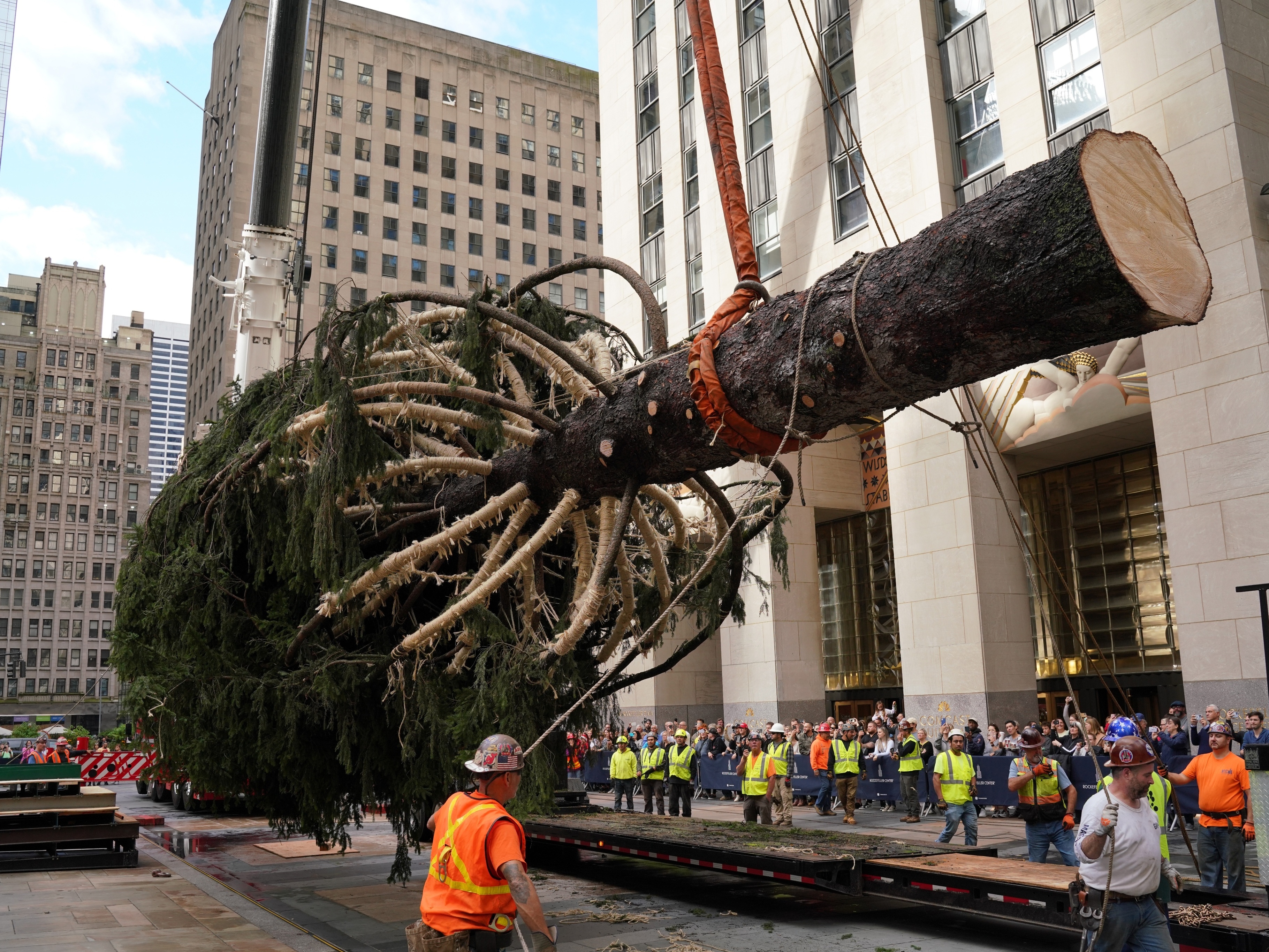 Nova York escolhe árvore de 90 anos e 24 metros para celebrar Natal de 2022  - 12/11/2022 - UOL Nossa