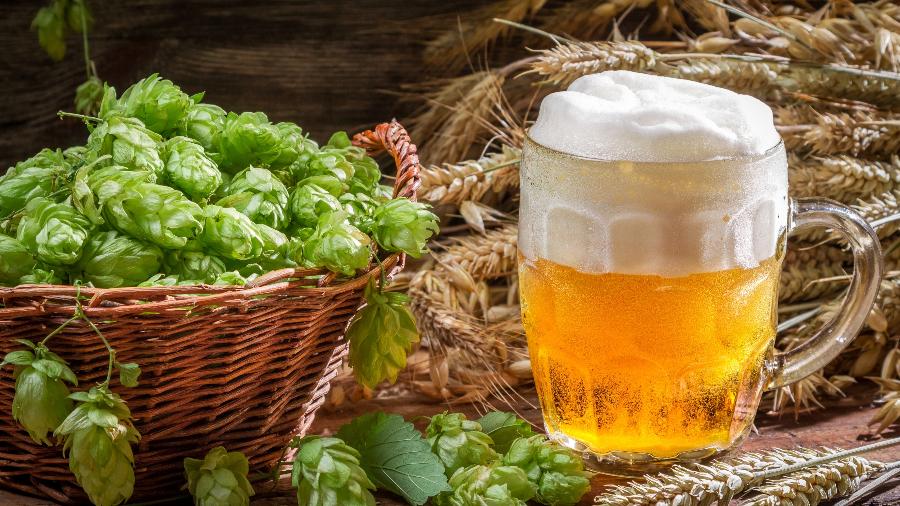 Uma das matérias-primas da cerveja, o lúpulo atua como calmante na pele, além de ter propriedades antibacterianas e antioxidantes - Getty Images/iStockphoto