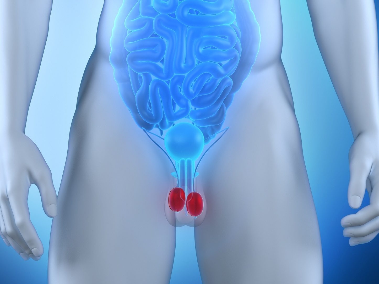 Dor nos testículos pós-treino pode vir de hérnia, infecção e até