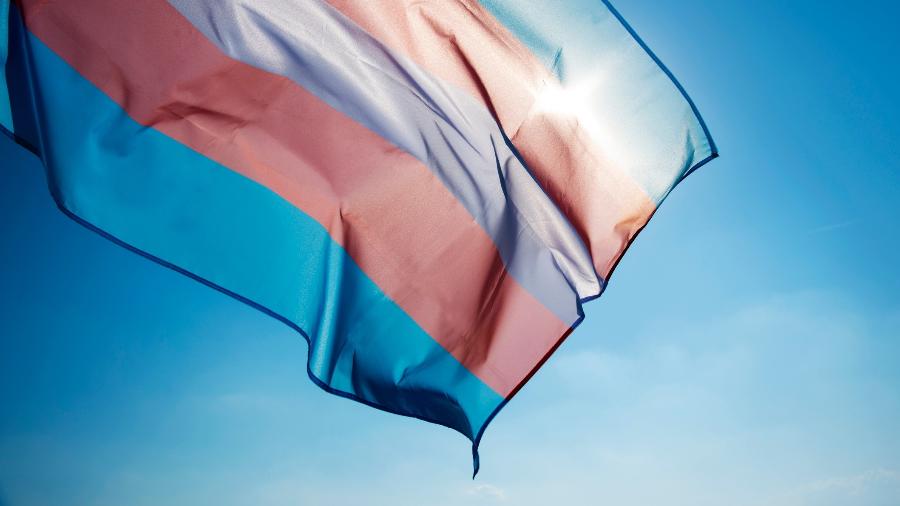 Bandeira trans - Getty Images