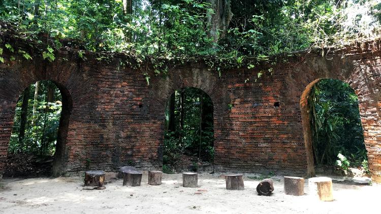 Bosque Rodrigues Alves, em Belém - Getty Images - Getty Images
