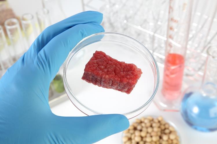 Carne sintética produzida em laboratório