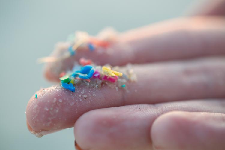 Há uma crescente preocupação com a ameaça que os microplásticos pode representar para a saúde humana