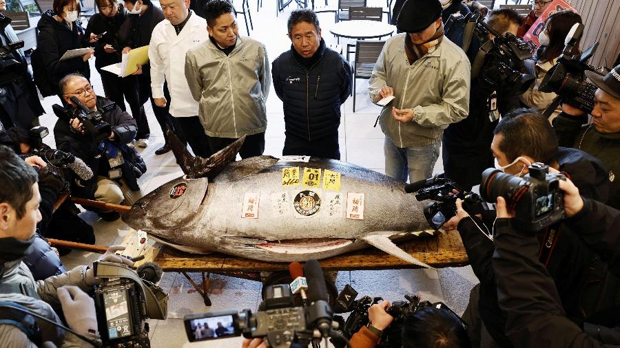 Bluefin leiloado no Toyosu Market, em Tóquio, no último dia 5 de janeiro de 2025