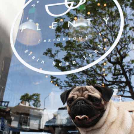 O Pop-Up Pug Café está chegando à capital inglesa - Reprodução/Instagram