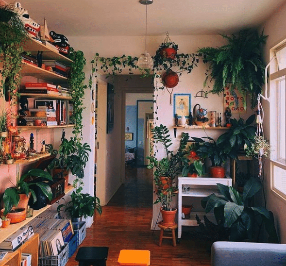 As 10 fotos mais bombadas na história do blog Urban Jungle Bloggers - Reprodução/Instagram