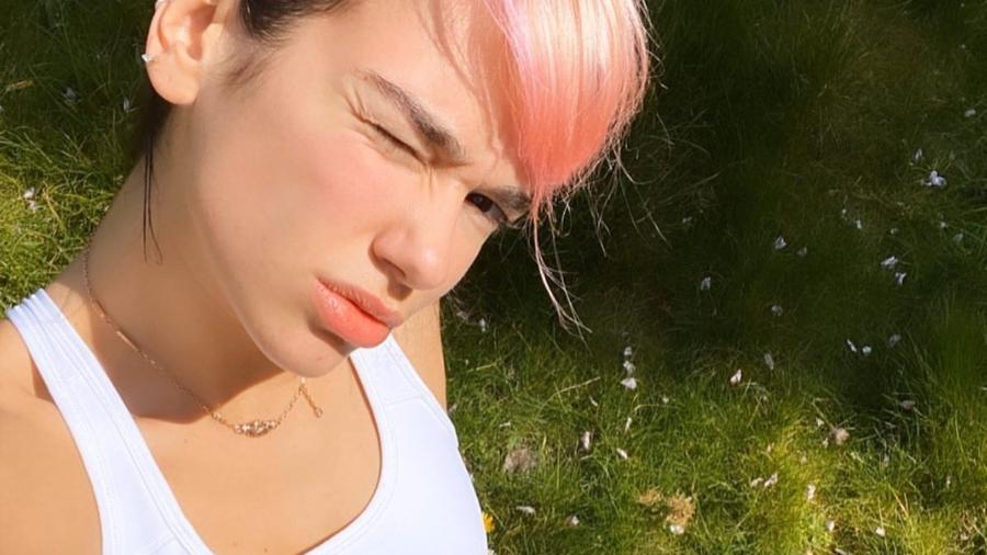 Dua Lipa ficou de cabelo rosa durante o isolamento em casa - Reprodução/Instagram