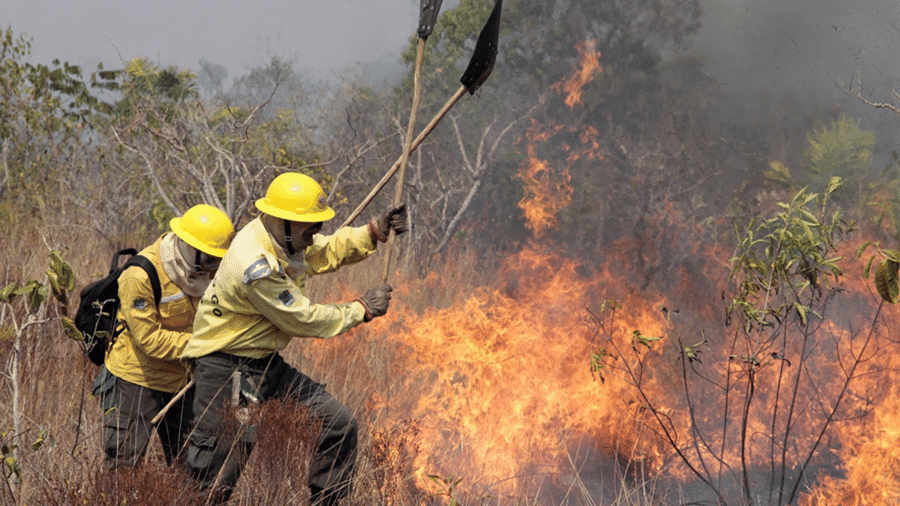 Combate às chamas no Parque Indígena do Xingu, no Mato Grosso - Vinícius Mendonça/Ibama