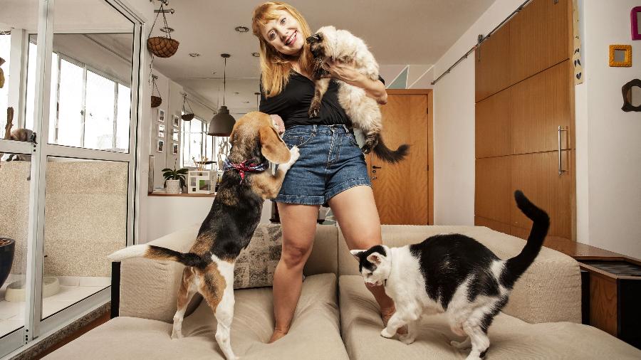 Thais Denker vive com sua cadela Beagle e três gatos - Fernando Moraes/UOL
